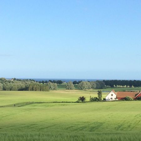 Garden Mellan Slotten Svarte Exterior photo