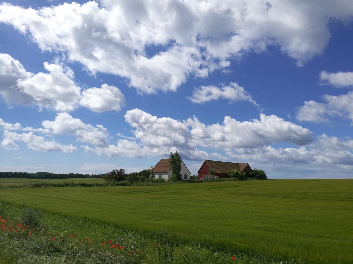 Garden Mellan Slotten Svarte Exterior photo