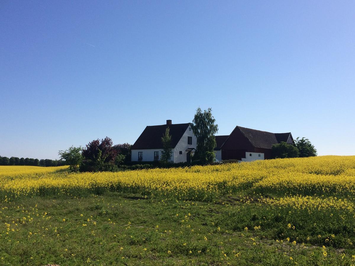 Garden Mellan Slotten Svarte Exterior photo